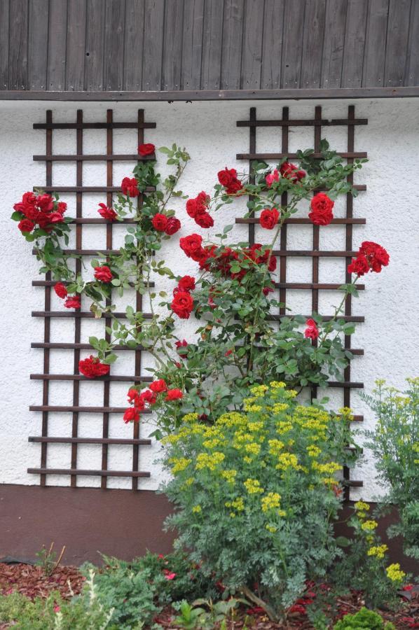 Vrtnarjeva hiša, The Gardener's Cottage Radovljica Exteriör bild